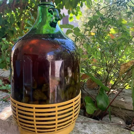 Lejlighed Laura Punat