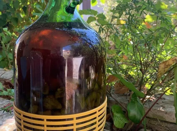 アパート Laura プナト